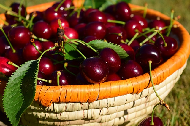 cherries-basket