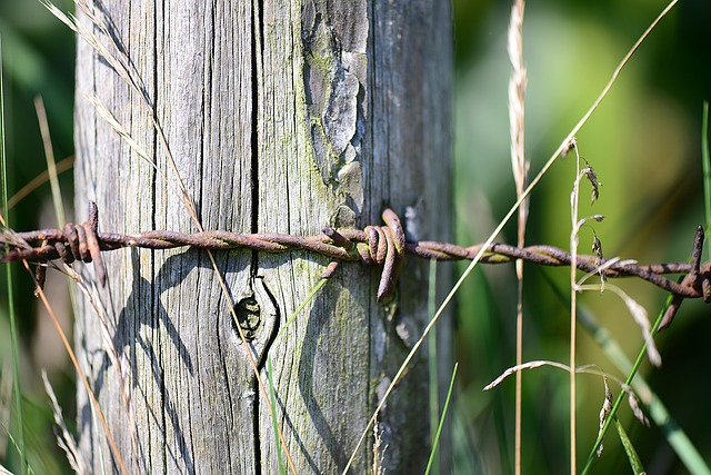 barbed-wire