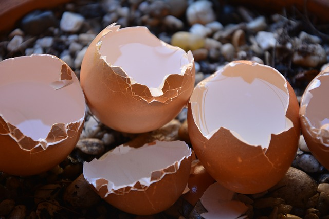 broken-eggs-1711144_640