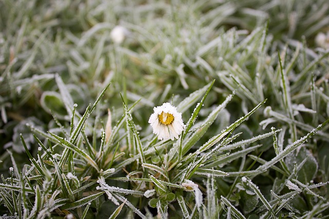 frost-1149002_640